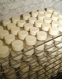 Kaesegitter Camembert Keller